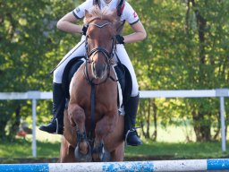 IMG_7031_web